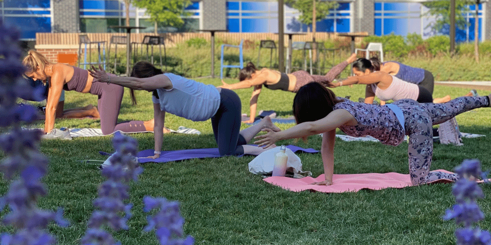 Header_Yoga