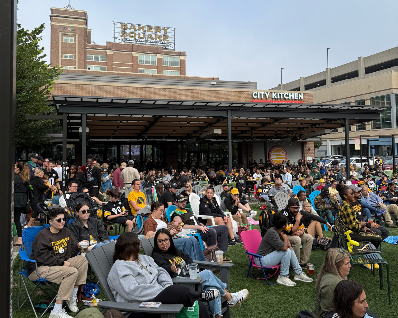 Steelers Game on the Big Screen